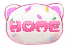 home button