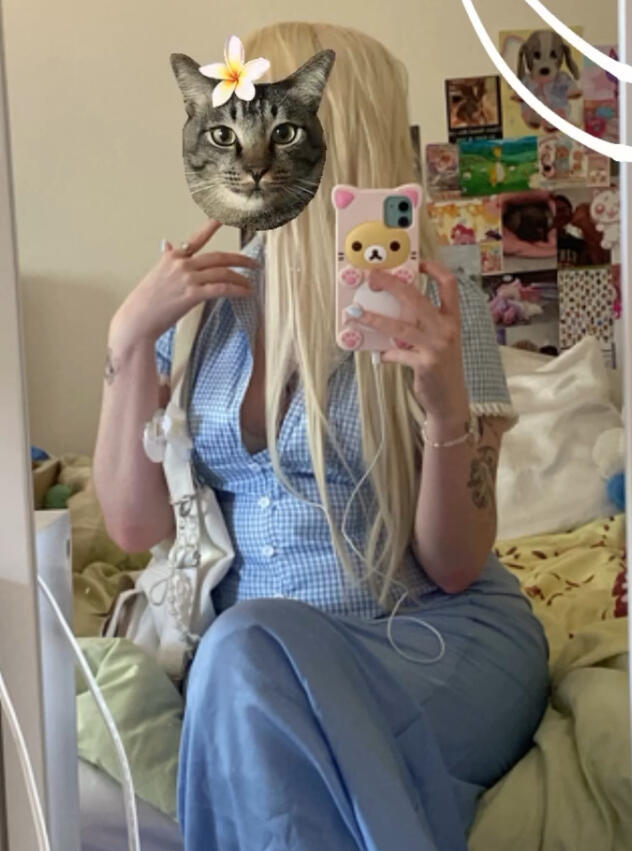 Contact sprinkles button!